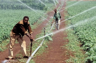 Irrigation Afrique
