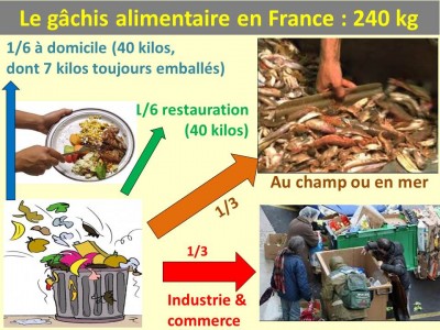 Gâchis alimentaire en France B