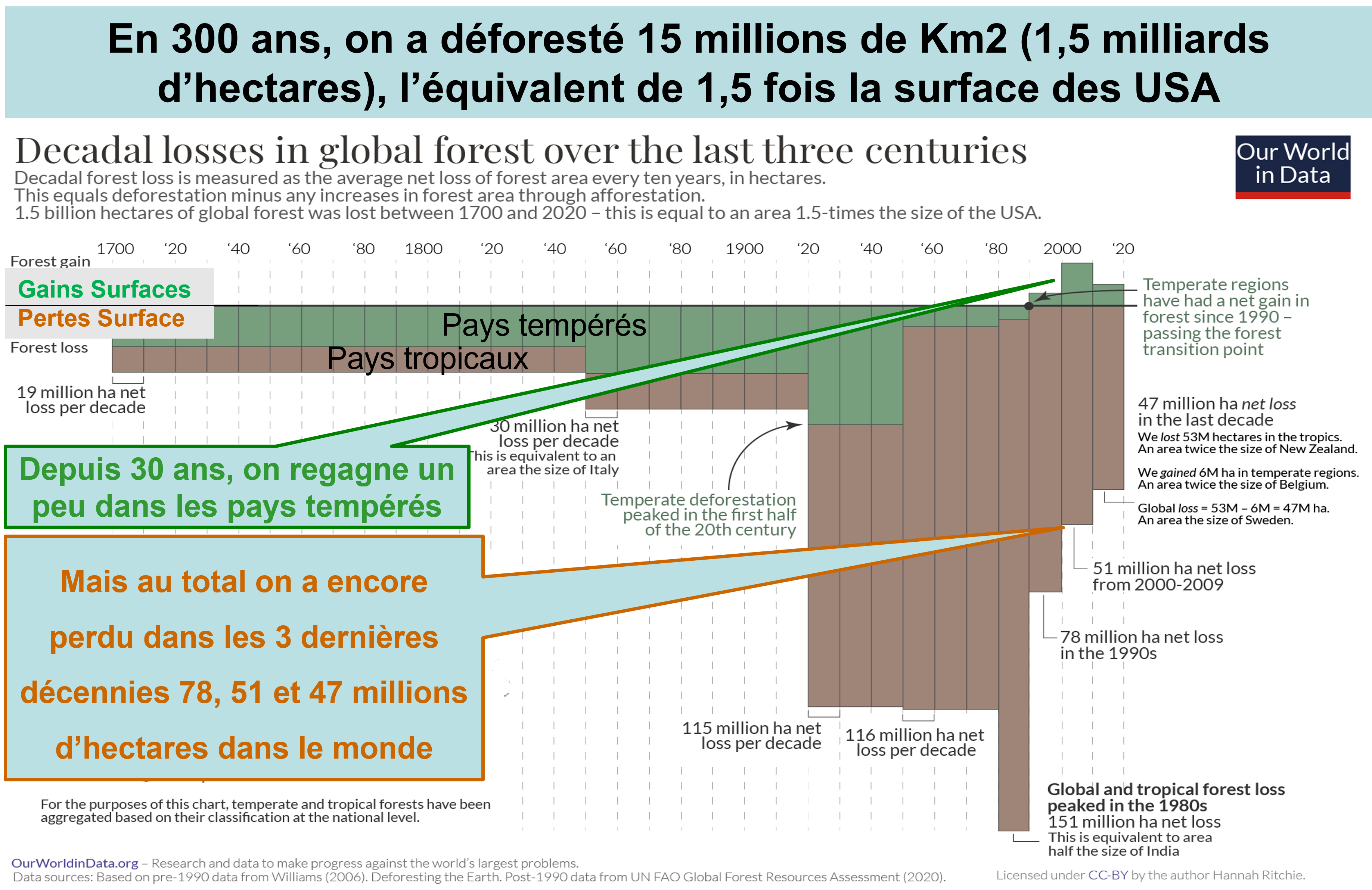 Evolution de la déforestation, des surfaces cultivées en soja et des