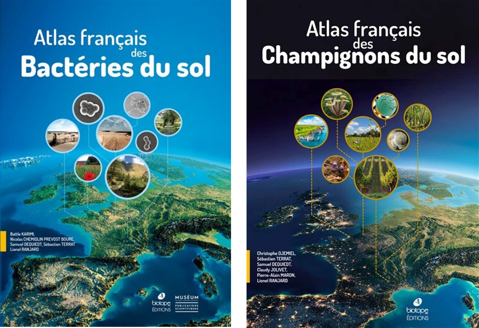 Le siècle des bactéries et des champignons arrive | Nourrir Manger